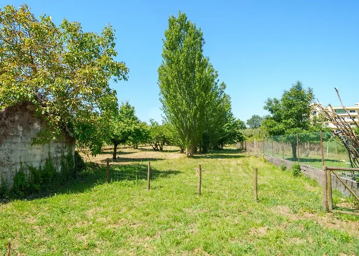 Bacelos Pink House - Riverfront With Jacuzzi Holiday home Soure